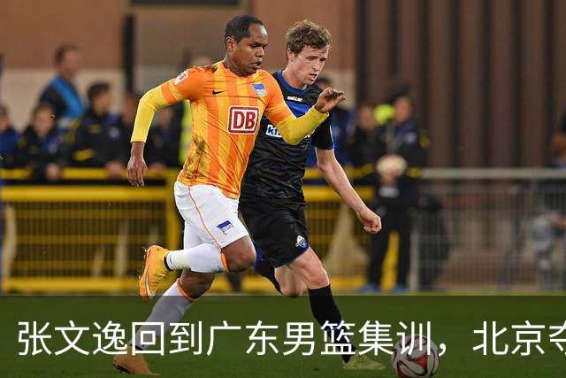 张文逸回到广东男篮集训，北京夺冠功勋确定退役，上海欲续约弗格